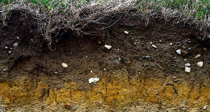 soil Ireland