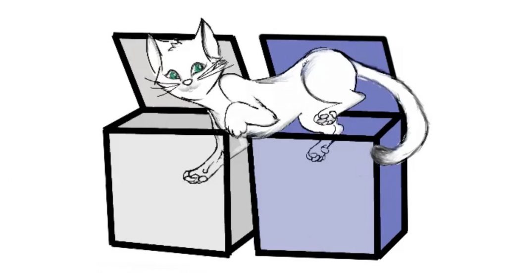 Schrödinger’s cat