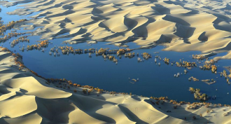 Farm irrigation flushes carbon that plants pull from the air deep underground. Groundwater aquifers beneath deserts appear to hoard hundreds of billions of metric tons of carbon, acquired this way, based on research at China’s Taklamakan Desert (shown).