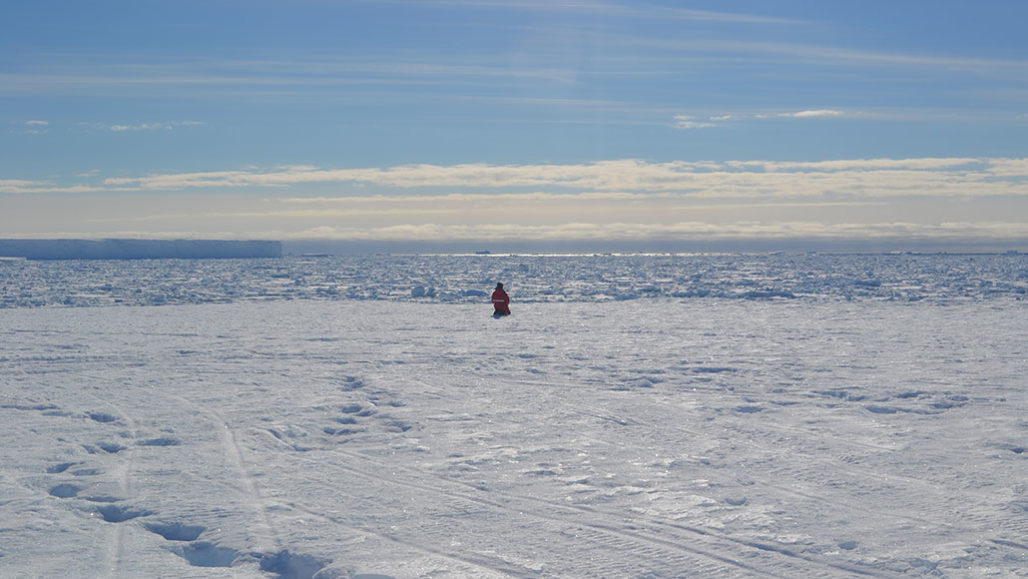 German polar research station