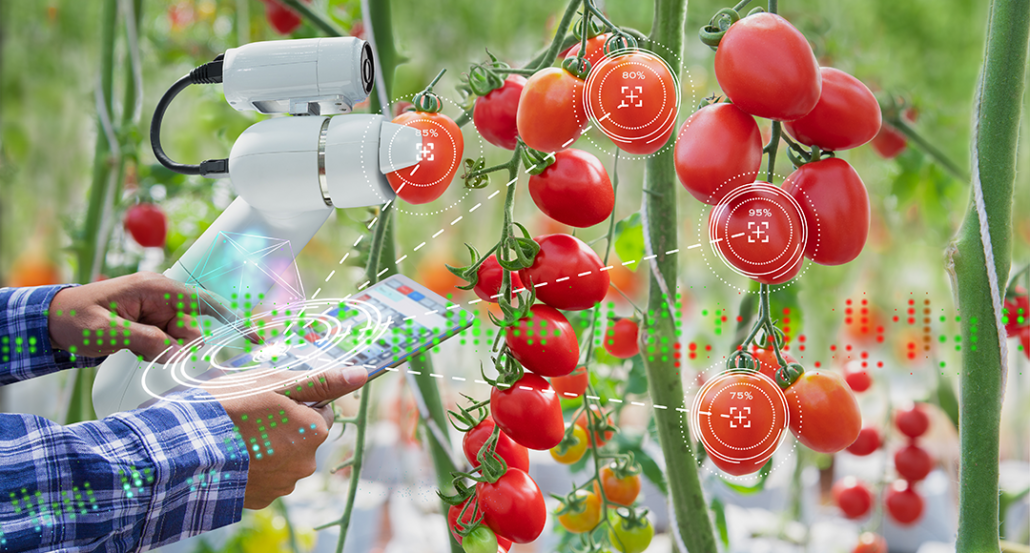 The Role Of Automation In Food Production