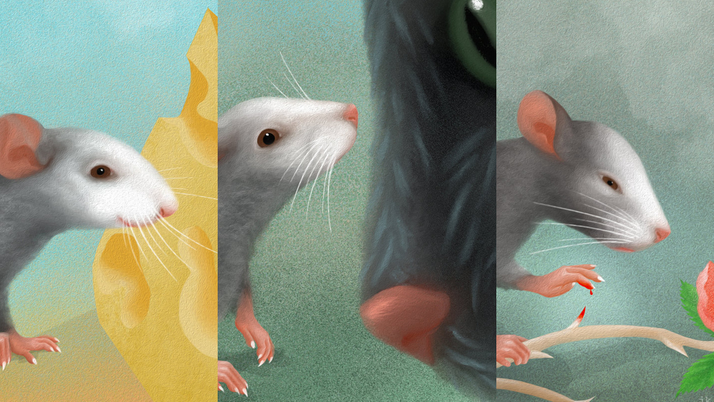 Mice show their feelings on their faces