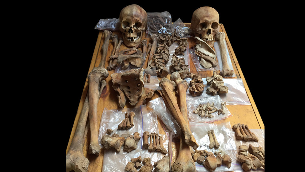 skeletons in Mongolia tomb