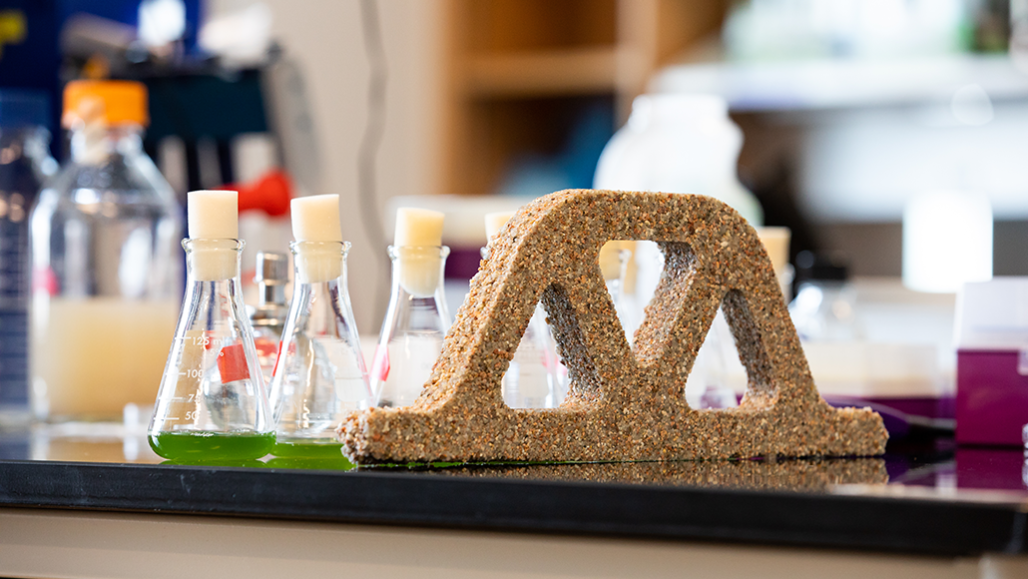 a molded "living" concrete piece sits on a lab table