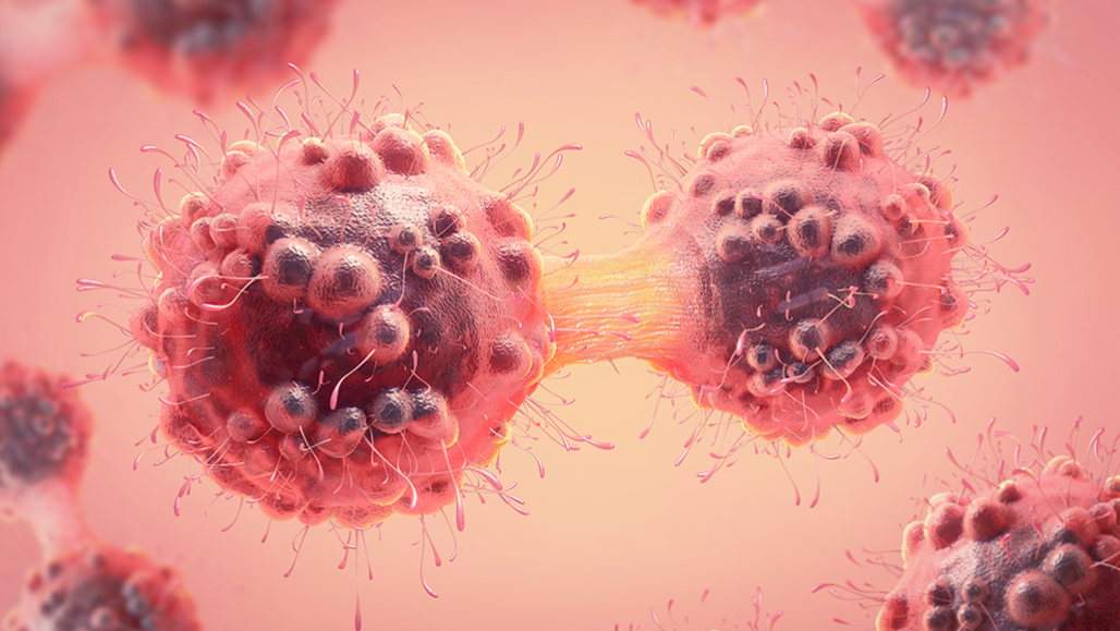 an illustration of cancer cells dividing