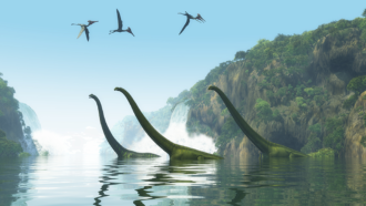 an artists depiction of large long-necked dinosaurs crossing a river and flying dinosaurs overhead