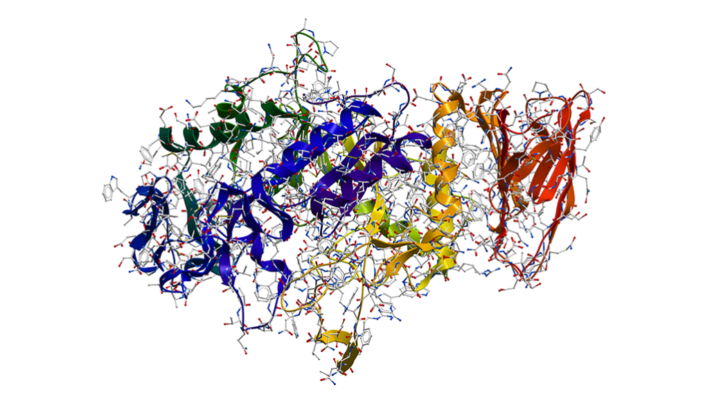 an illustration of the molecular structure of the enzyme alpha-amylase