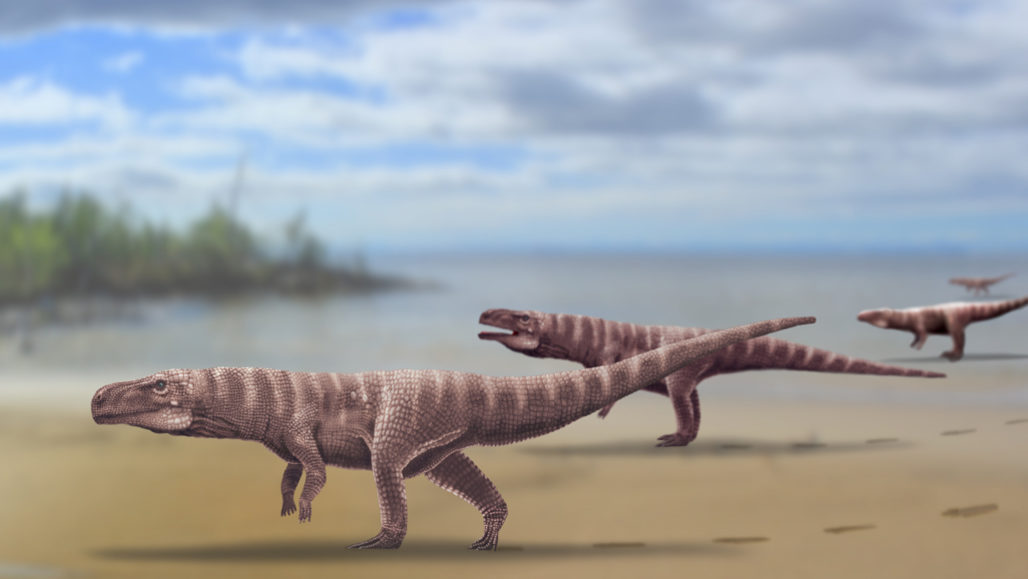 illustration of crocodile ancestors walking on two legs