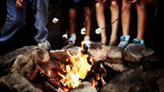 kids holding marshmallows over a campfire