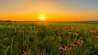a photo of a prairie at sunset