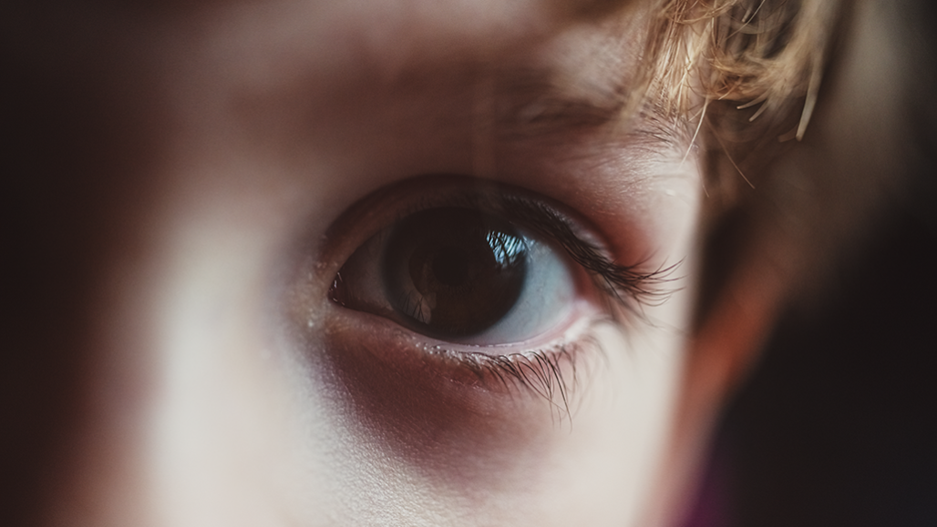 Explainer: How our eyes make of light