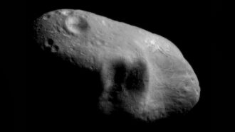 a photo of the asteroid Eros