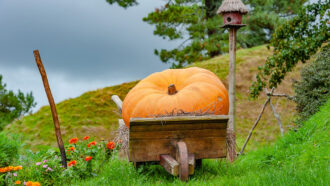 a digital illustration of a Hobbiton pumpkin in a wagon