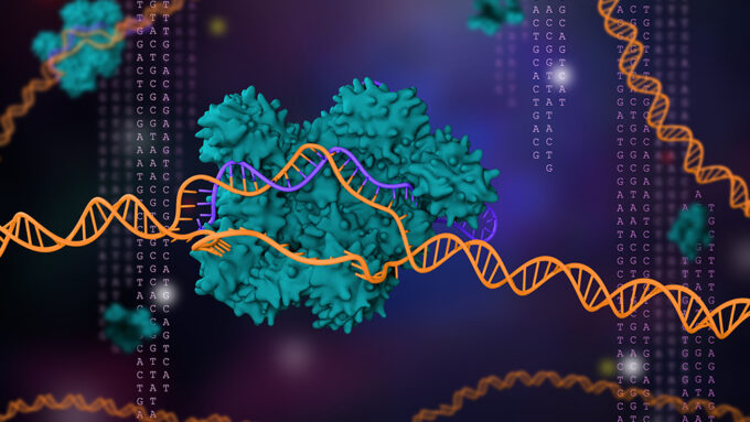 illustrated representation of the gene editing tool CRISPR/Cas9