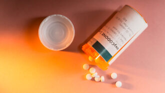 a photo looking down at a prescription bottle labeled Oxycodone opened to spill pills on an orange table