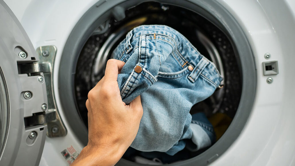 Indigo genes dyeing to make jeans cleaner and greener, Research