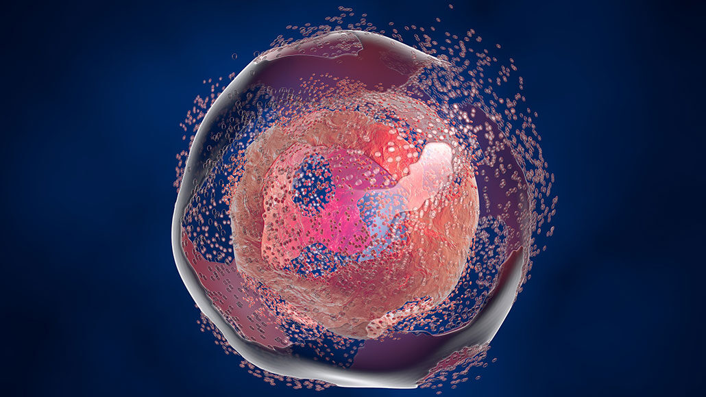 an artists illustration of a cell dying