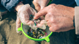 a photo of hands sifting through tiny bits of plastic found on a beach