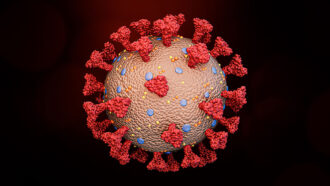 an illustration of spike proteins on a coronavirus
