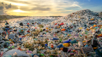 piles of plastic at a landfill