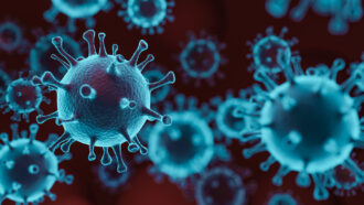 an artists illustration of blue colored coronaviruses
