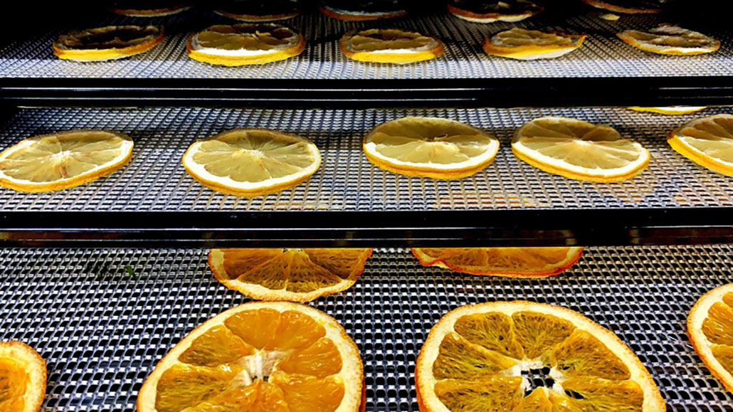 a photo of slices of oranges drying