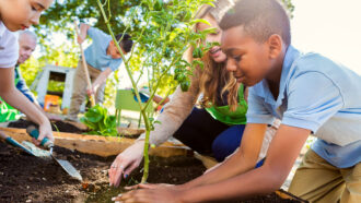 kids planting in raised bed gardens