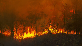 a photo of a wildfire