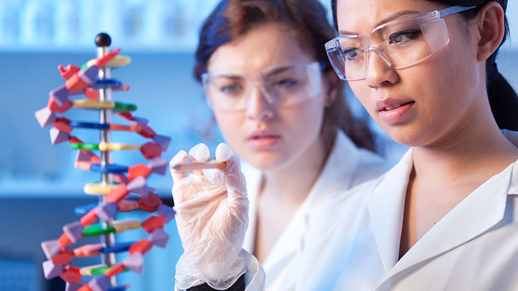 two women in lab coats examine a molecular model of DNA