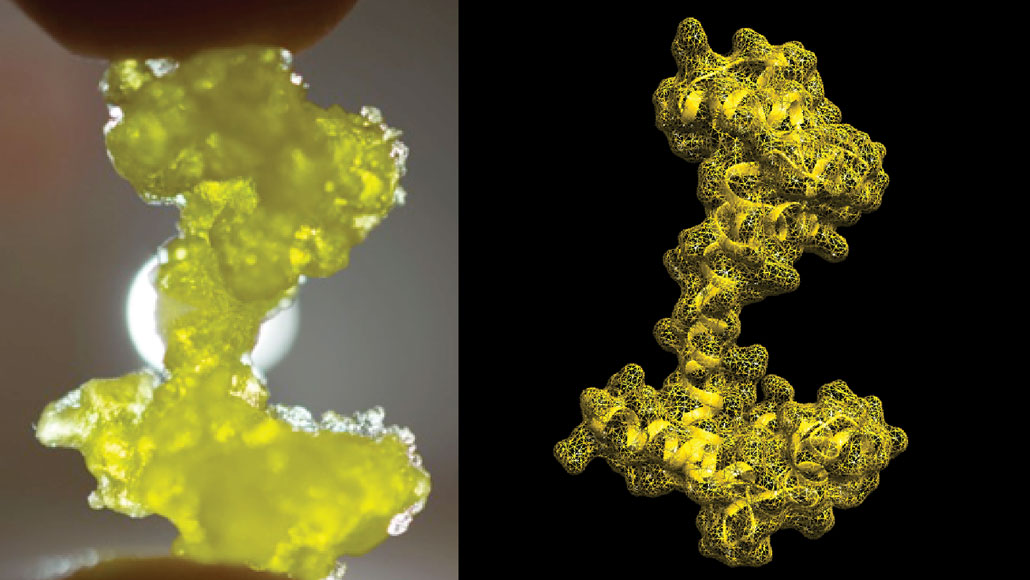 side by side images of a yellow, anchor-shaped object