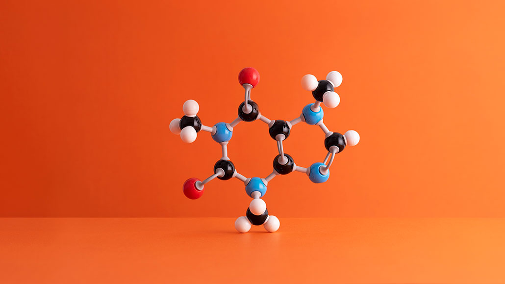 the molecular structure of caffeine