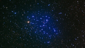 telescope image of a star cluster, which is surrounded by a blue haze