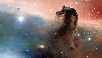 the Horsehead Nebula