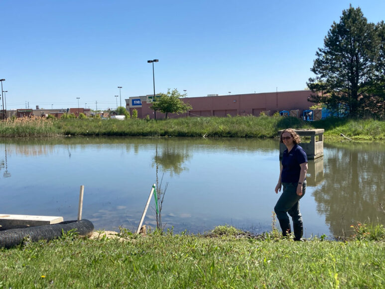 Anne Jefferson stands by a retention pond