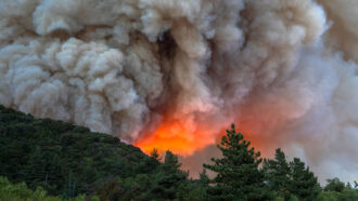 smoke billows above a wildfire in California