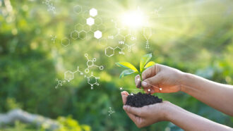 a photo of hands holding a seedling against a green background. there is a sun flare above the plant and illustrations of organic molecular structures floating in the air