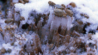 a photo showing ice needles topped with pebbles