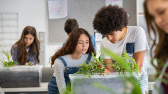 two students in a classroom peer at potted plants on a desk