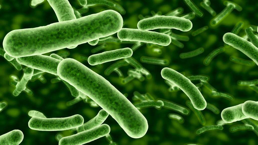 an illustration of green, rod-shaped microbes