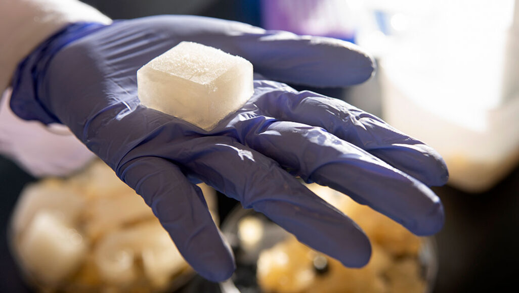 a purple gloved hand holds a jelly ice cube