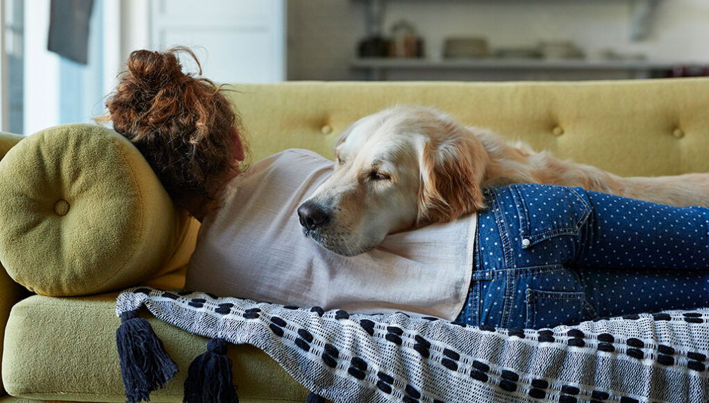 a photo of a girl snoozing on a sofa with her back to the viewer, a golden retriever is also snoozing with its head resting on her back
