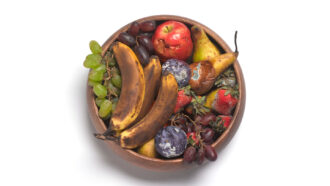a bowl of rotting bananas, apples, pears and other fruits viewed from above