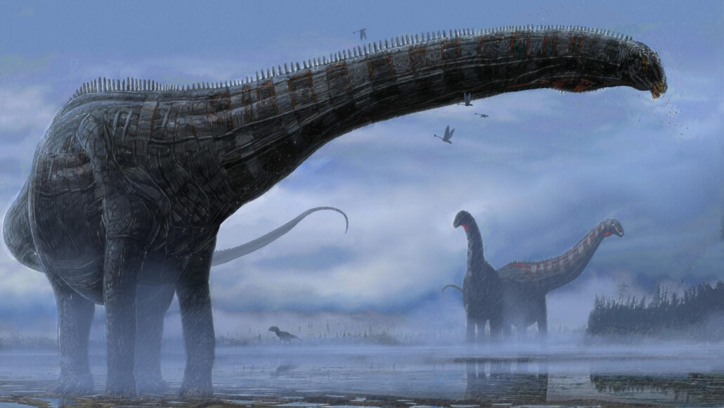 illustration of sauropod dinosaurs