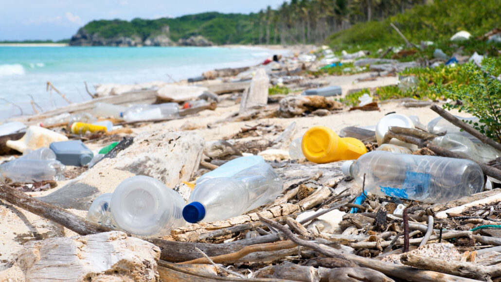 plastic water bottles and other trash lie in the sand on a beach