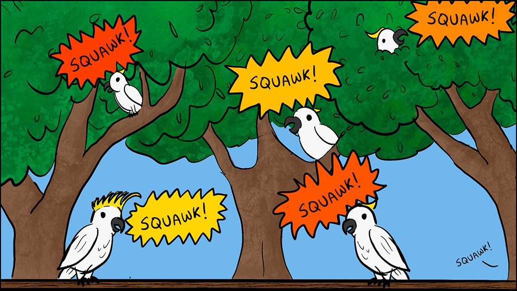 a excerpt from a comic panel showing many sulfur-crested cockatoos sitting on a fence and in a tree. all the birds are saying SQUAWK!