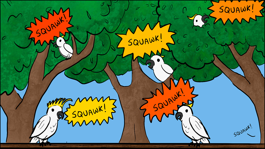 an hand drawn comic showing white cockatoos squawking at each other in a tree and on a fence