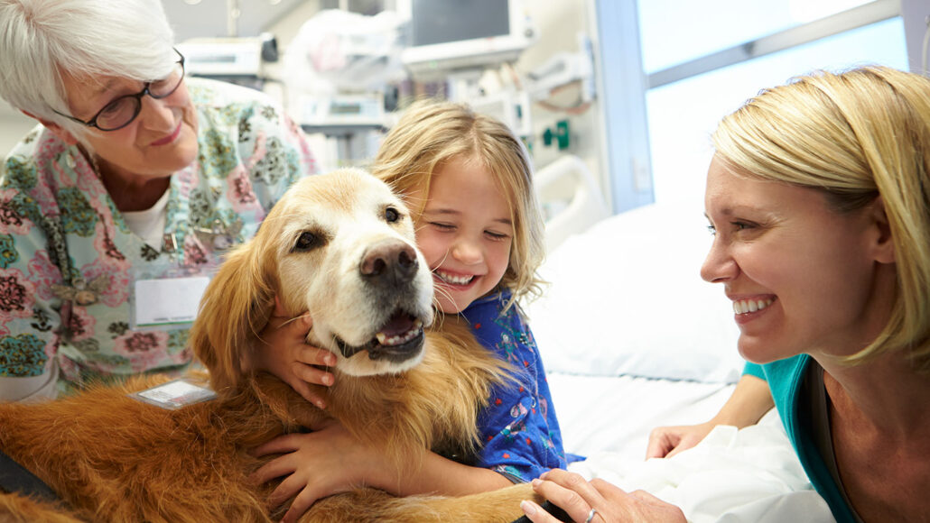 A photo of a young blond girl sitting on a hospital bed and hugging a golden retriever. She has a huge smile on her face. An adult female is to the right and a nurse is to the left. In the rear of the image, behind the bed, there is a collection of medical equipment.