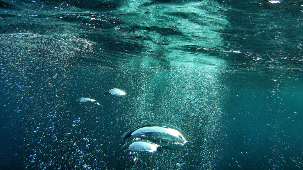 underwater, a froth of bubble rises toward the surface
