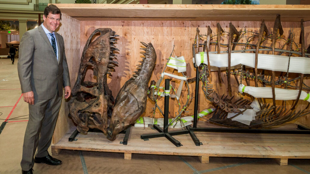 Museum Director Kirk Johnson poses with a Tyrannosaurus rex fossil