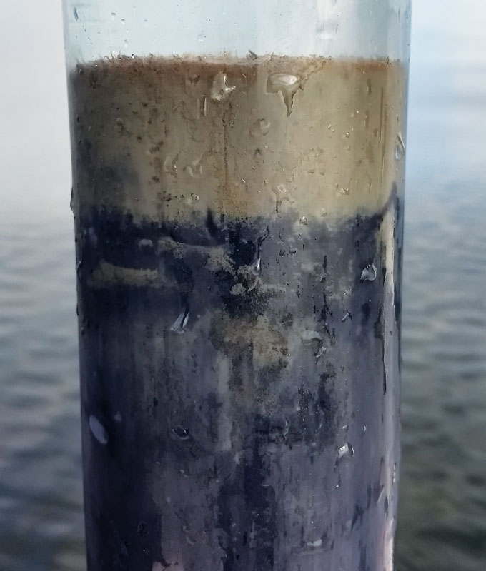 sediment core taken from the Chesapeake Bay